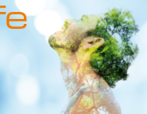 TROX LIFE No. 24 Climate + Health